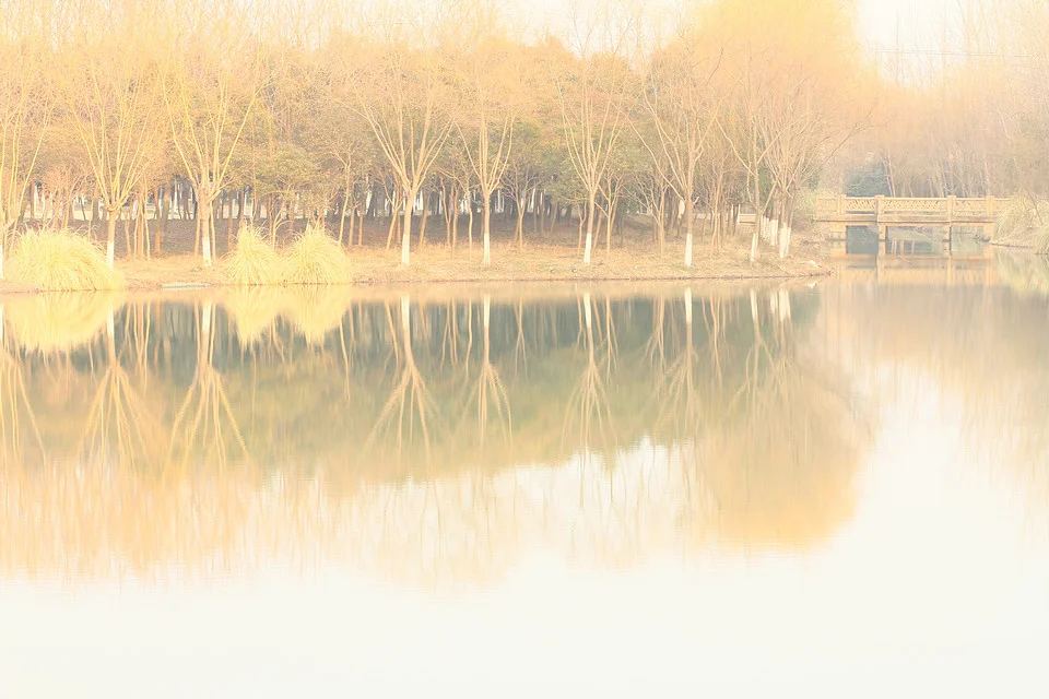 20110220-057-w960.jpg