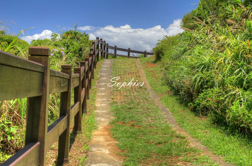 20120728-041P-w1280