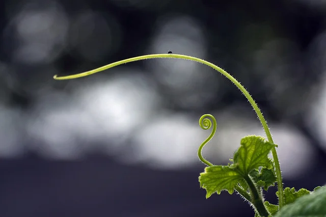 20090613a-057-960