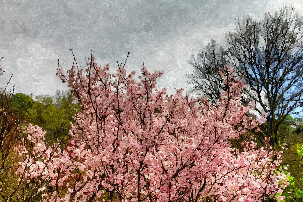 FotoSketcher - 20110305-152-w1920.jpg