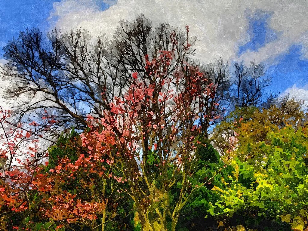 FotoSketcher - 20110305-088-w1920.jpg