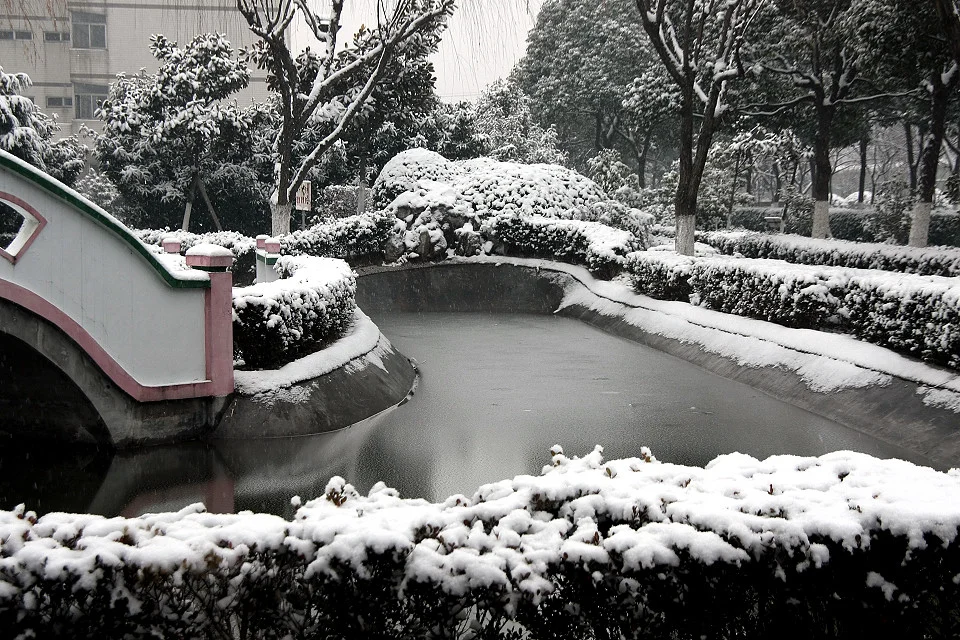 20111120-027-w960.jpg