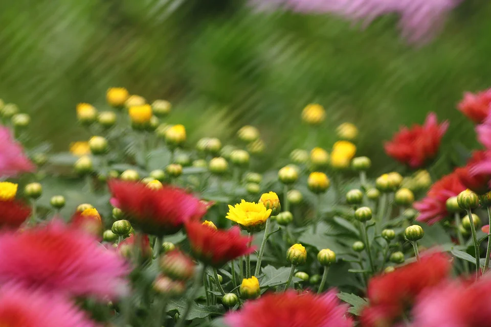 20111126-091-w960.jpg