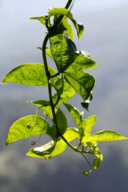 20110206-018-w960.jpg