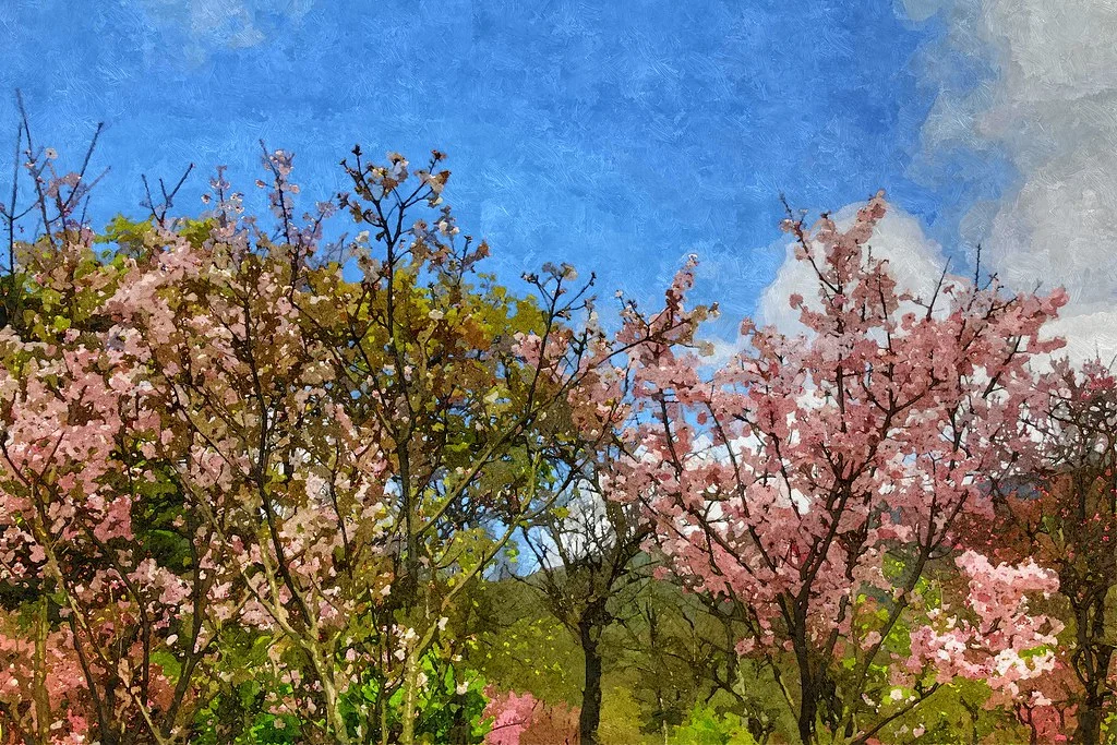 FotoSketcher - 20110305-154-w1920.jpg
