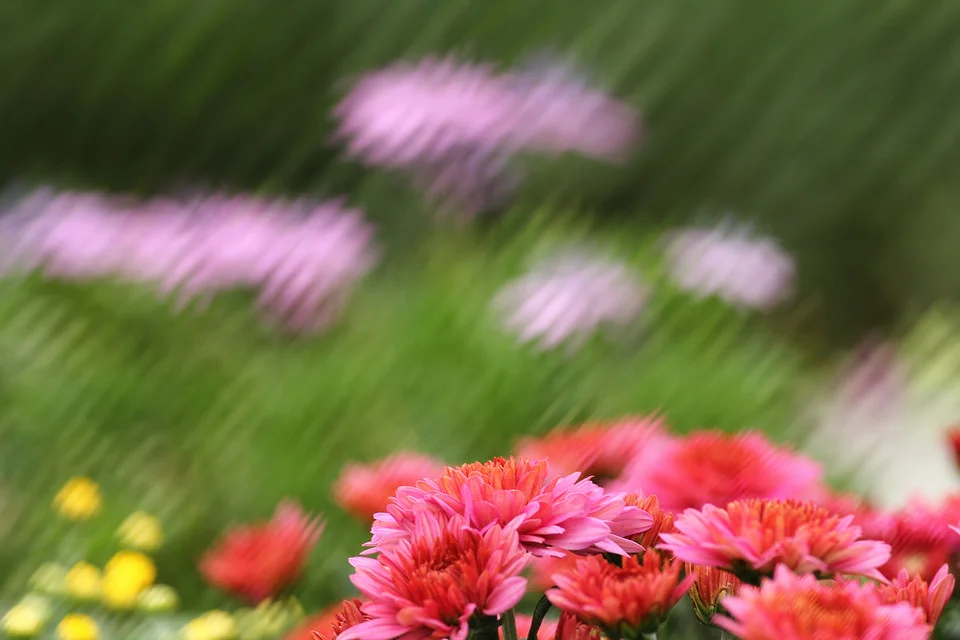 20111126-092-w960.jpg