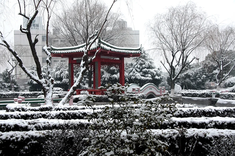 20111120-026-w960.jpg