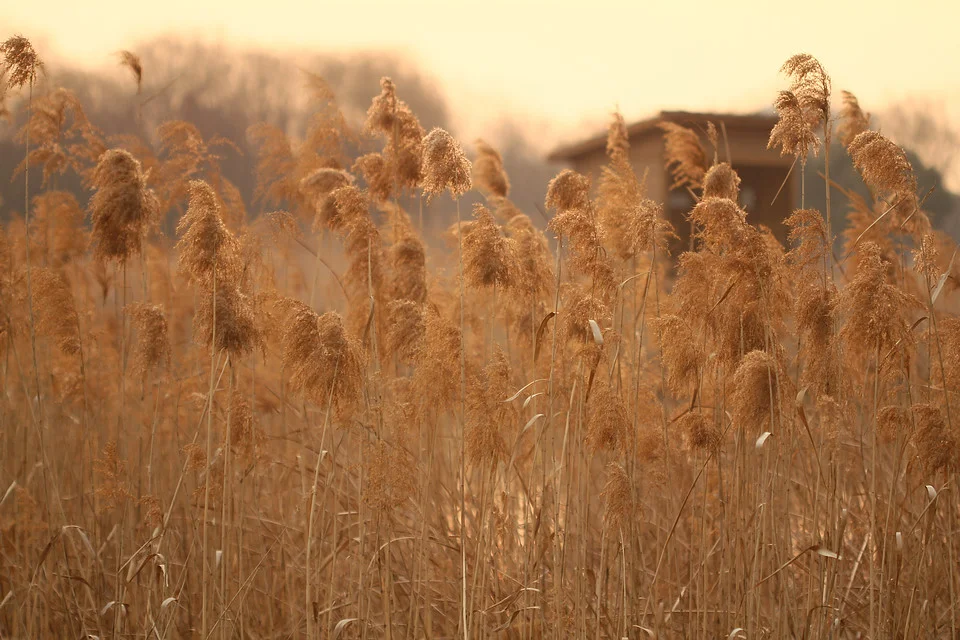 20110220-070-w960.jpg