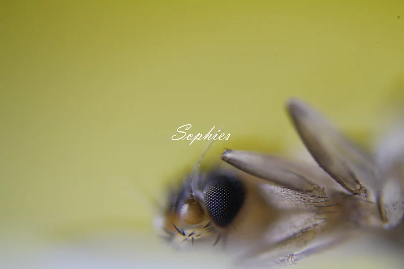 20120616-01-w1280