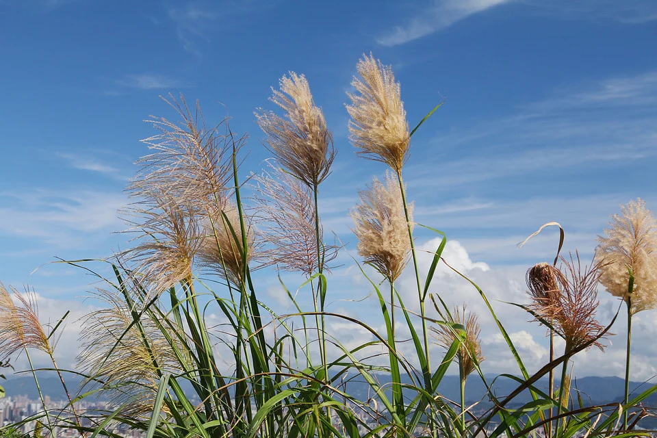 20111106-057-960.jpg