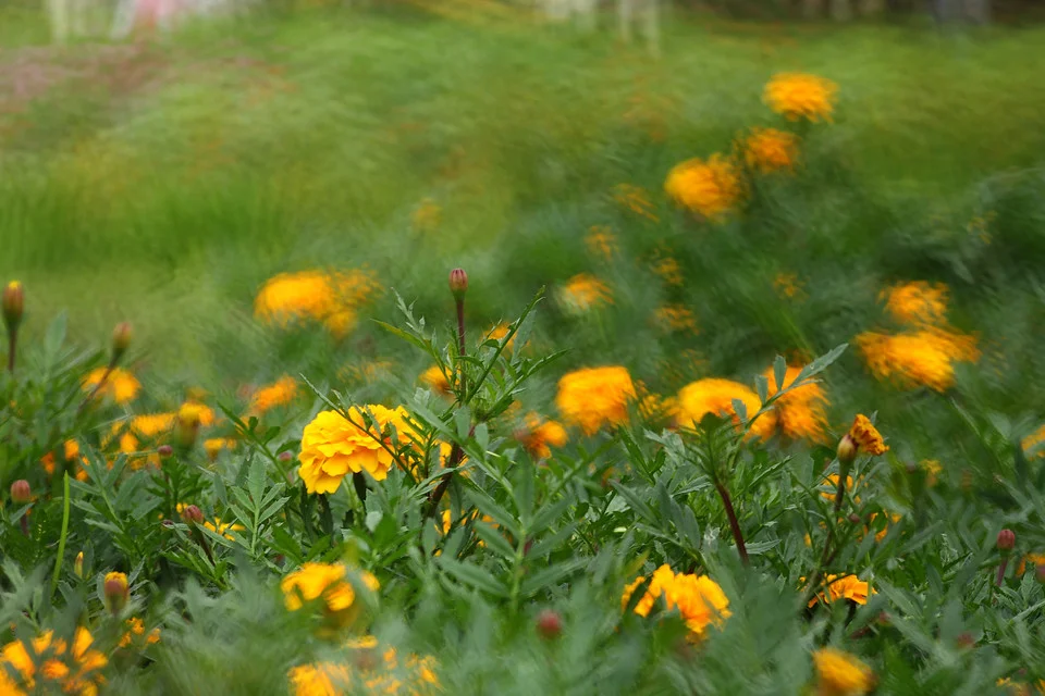 20111126-075-w960.jpg