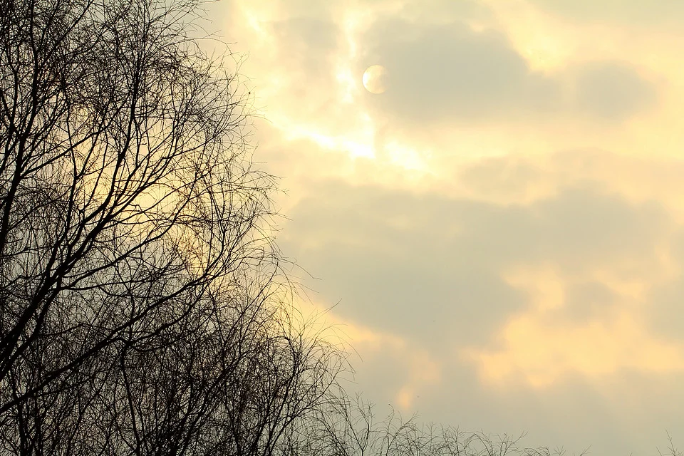 20110220-032-w960.jpg