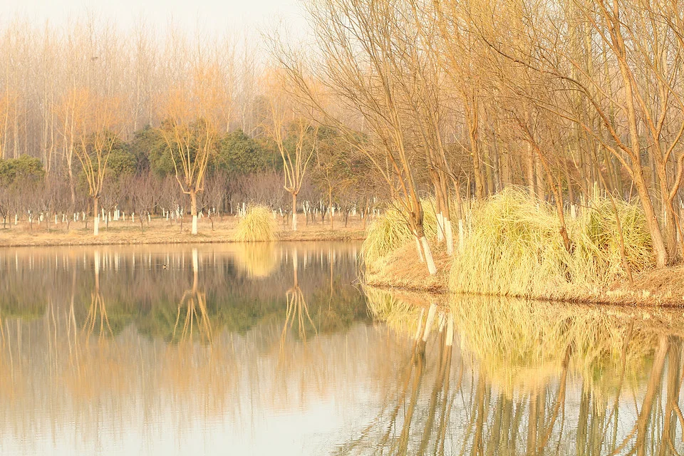 20110220-048-w960.jpg