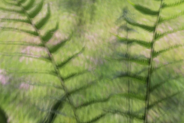 20110409-046-w960