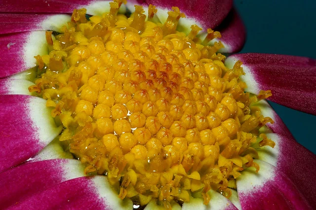  alt=