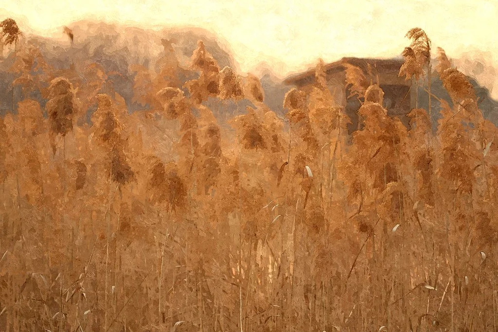 FotoSketcher - 20110220-070-w1920.jpg