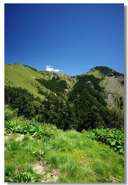 20070630P2-056_f-w960.jpg