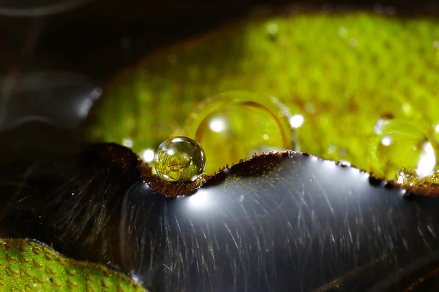 20080712-285c-960