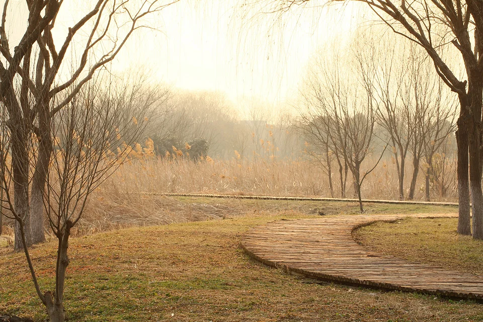 20110220-055-w960.jpg