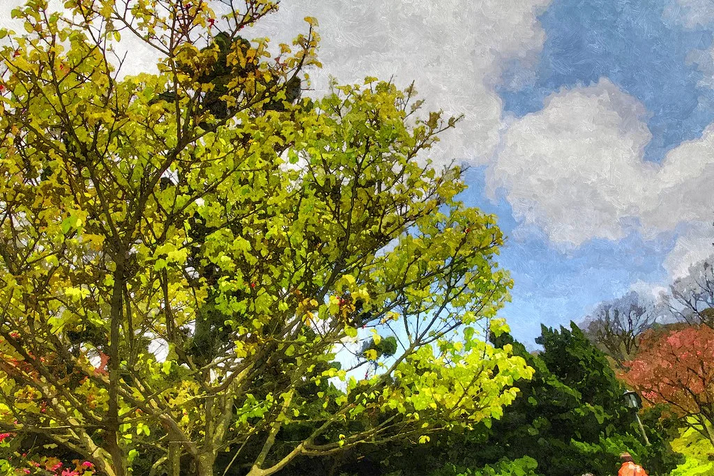 FotoSketcher - 20110305-138-w1920.jpg