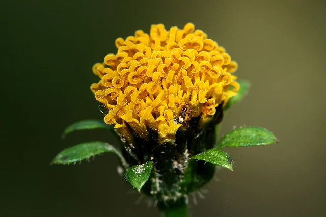20110206-141-w960.jpg