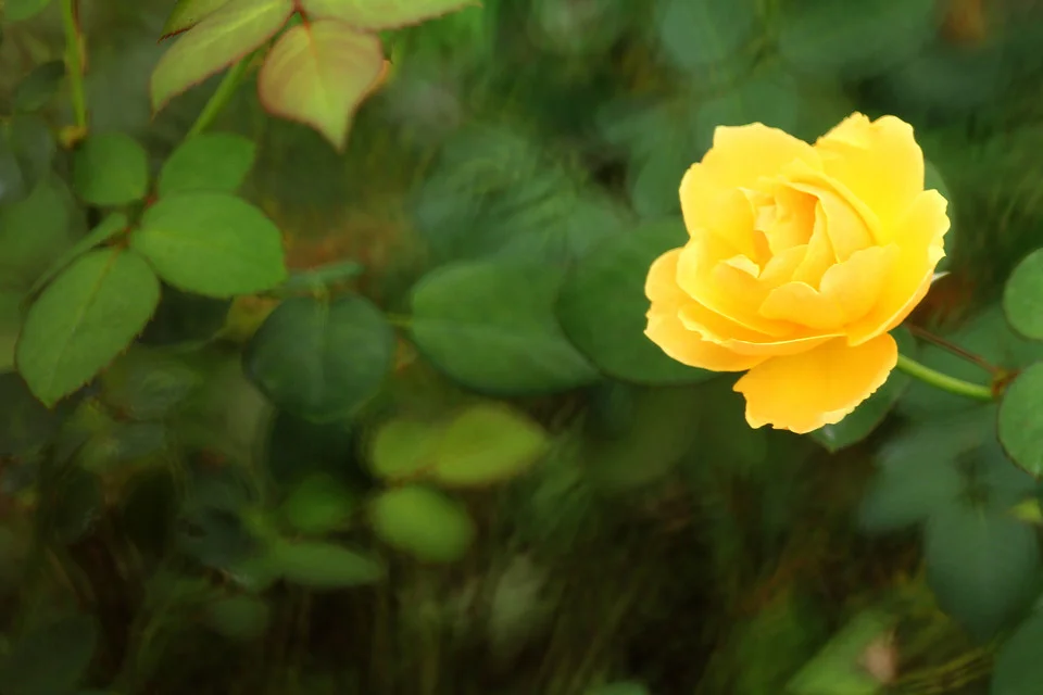20111126-129-w960.jpg