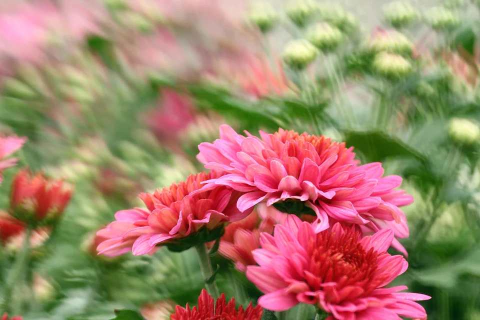 20111126-057-w960.jpg