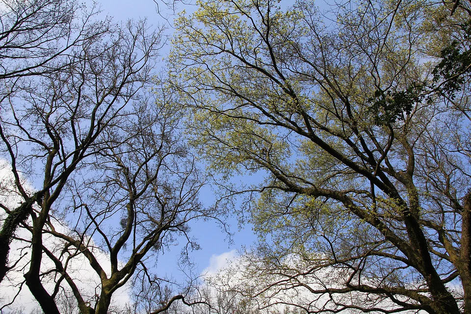 20110305-039-w960.jpg