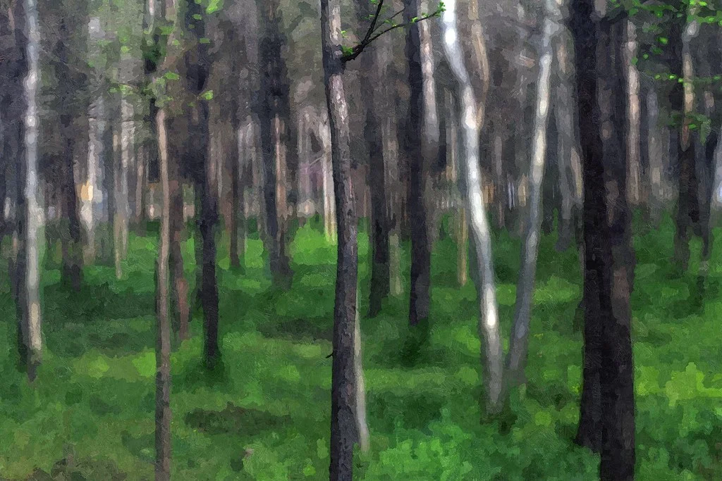 FotoSketcher - 20110411-142-w1920.jpg