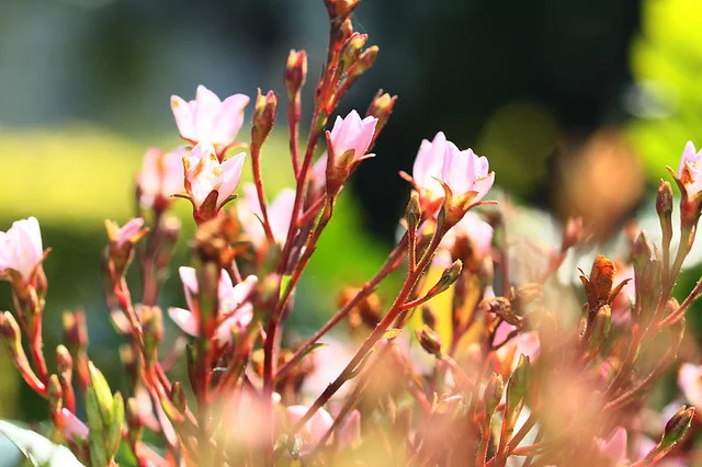 20110206-070-w960.jpg