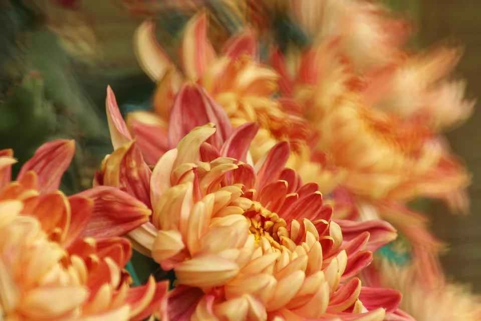 20111126-051-w960.jpg