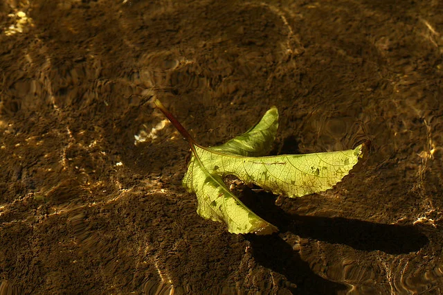 20110206-094-w960.jpg
