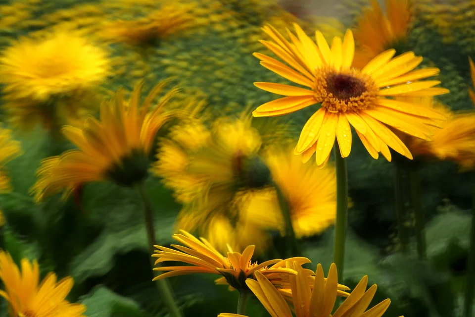 20111119-482-960.jpg