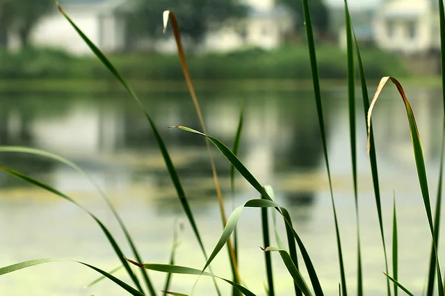 20110723-013-w960