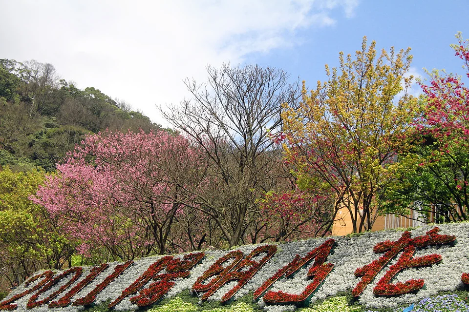 20110305-146-w960.jpg