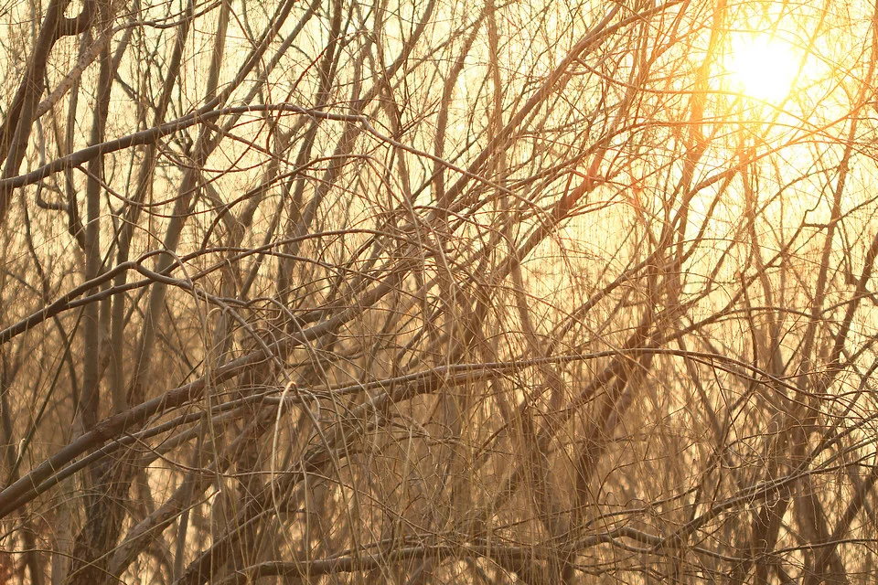 20110220-063-w960.jpg