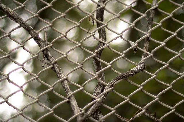 20091121-095-960