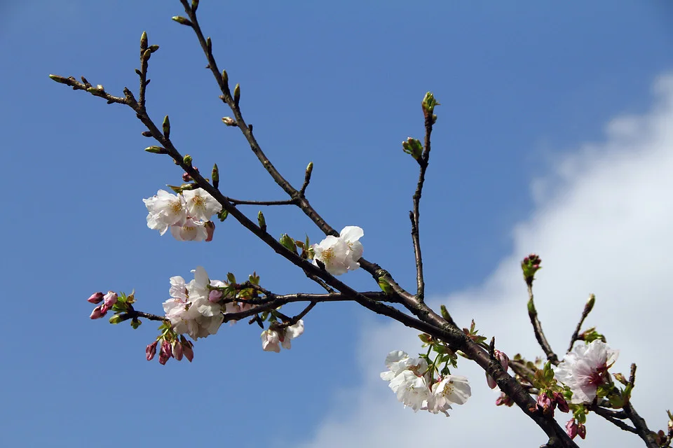 20110305-144-w960.jpg