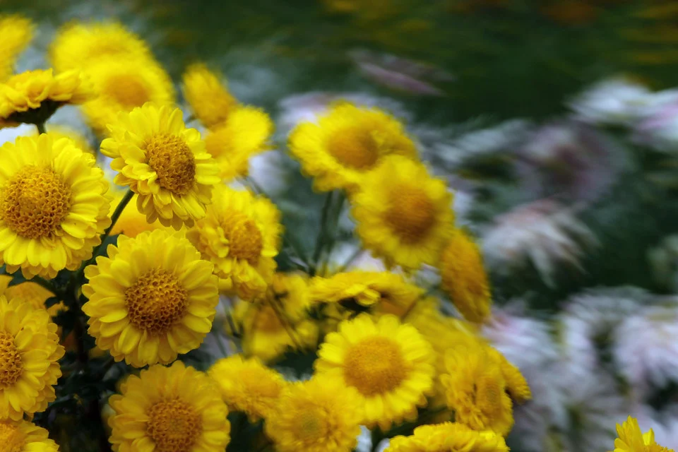 20111119-471-960.jpg