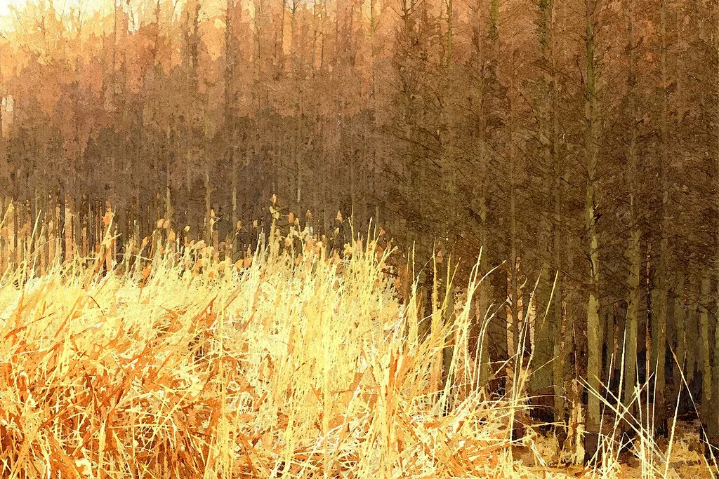 FotoSketcher - 20110220-036-w1920.jpg