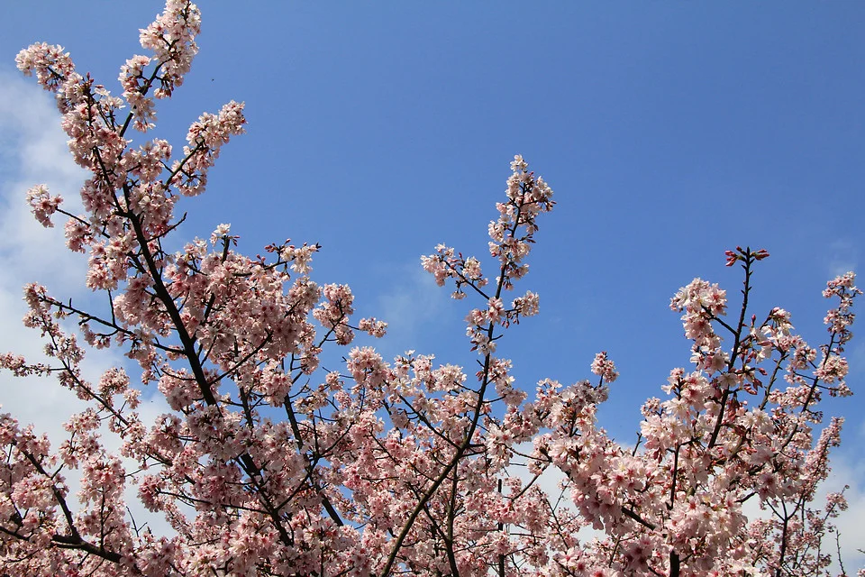 20110305-044-w960.jpg