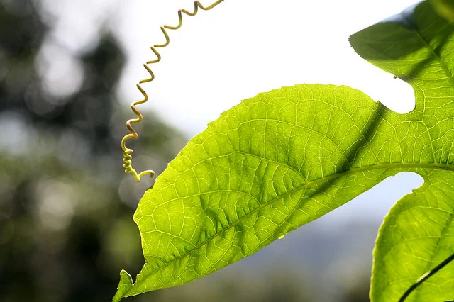 20110206-022-w960.jpg