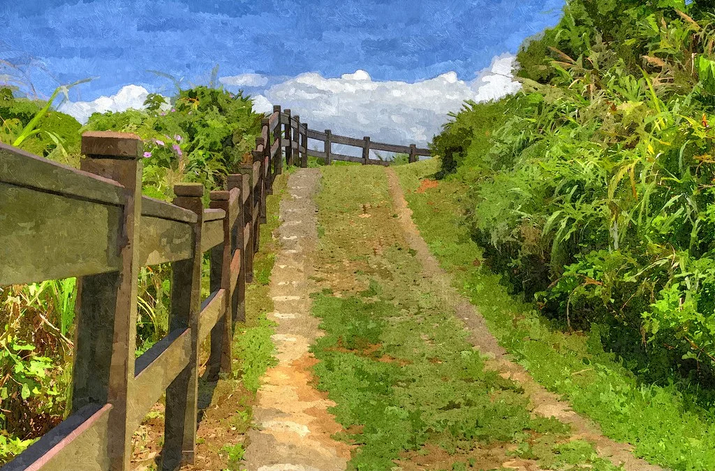 FotoSketcher - 20120728-041P-w1920.jpg