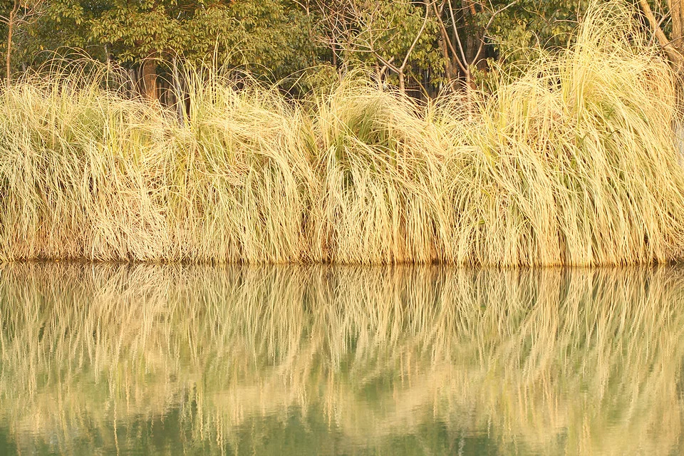 20110220-049-w960.jpg