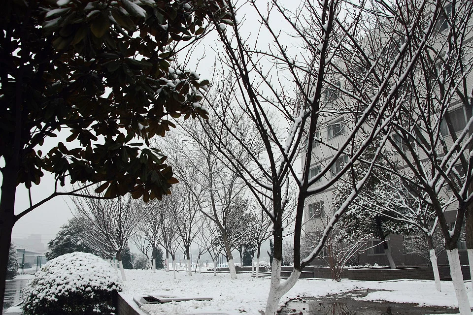 20111120-013-w960.jpg