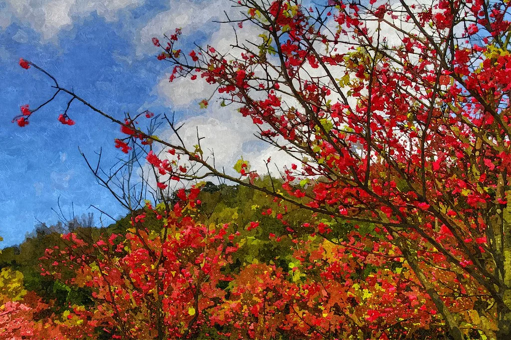 FotoSketcher - 20110305-122-w1920.jpg