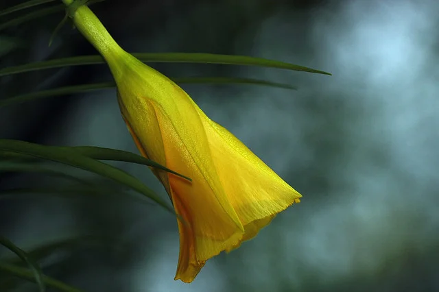 20090613a-014-960