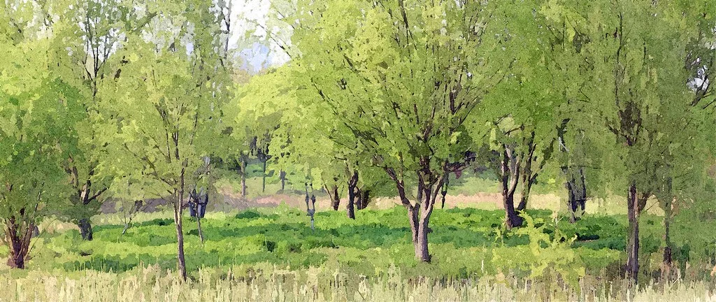 FotoSketcher - 20110411-205-w1920.jpg
