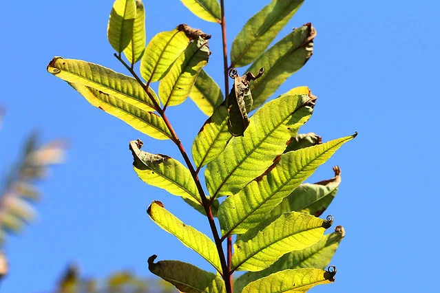 20110206-114-w960.jpg