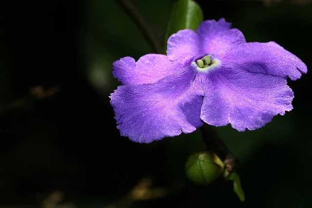 20110206-051-w960.jpg